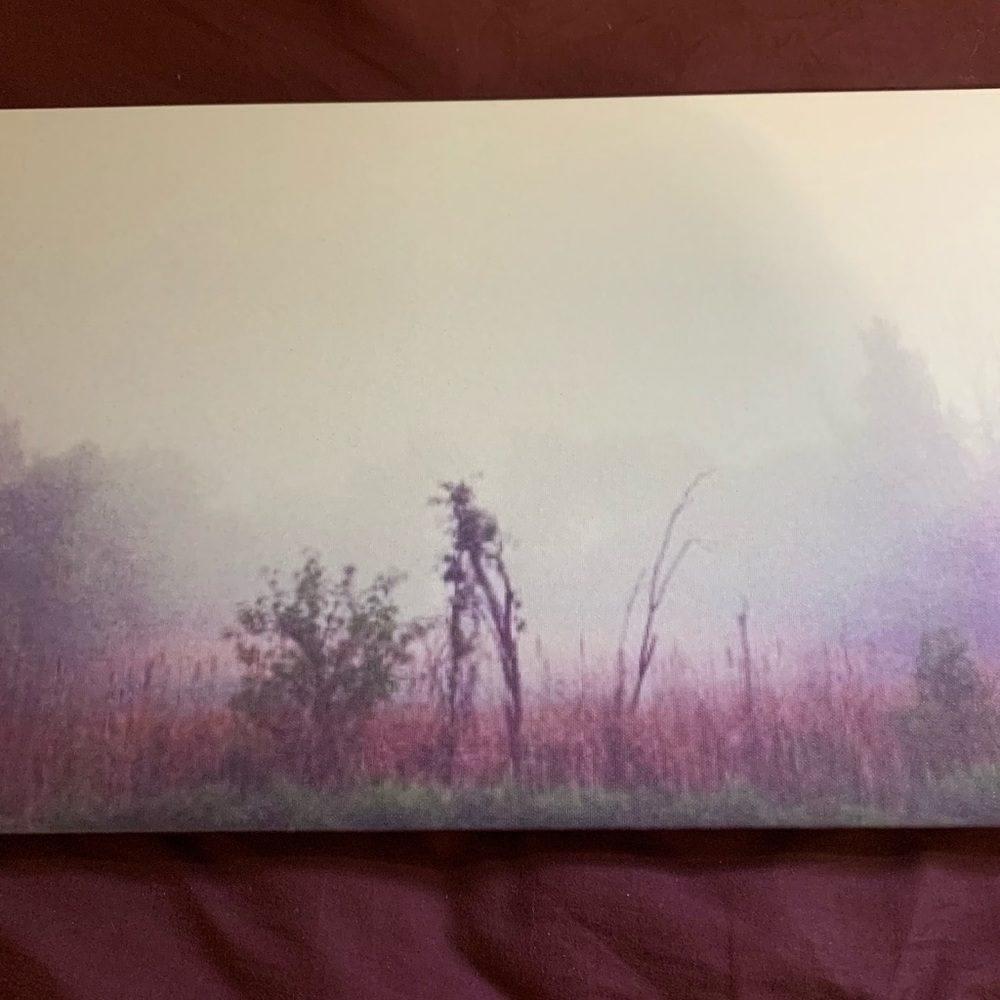 ‘Spriggan’ - Picture 2 of 4